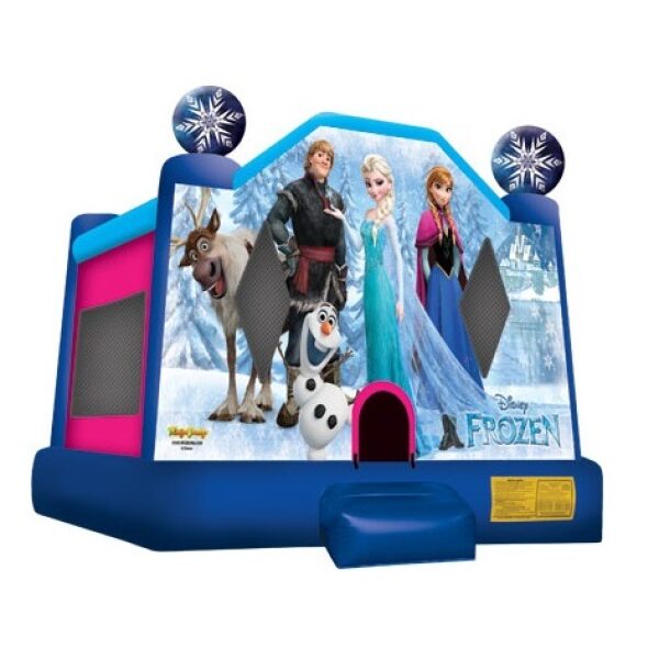 Frozen Mini Castle